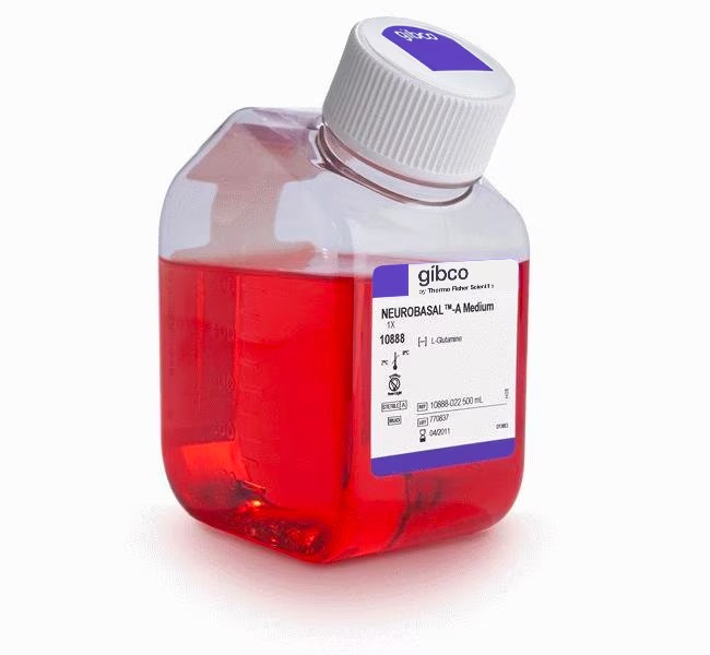 Gibco™ Neurobasal™-A Medium, 500 mL 