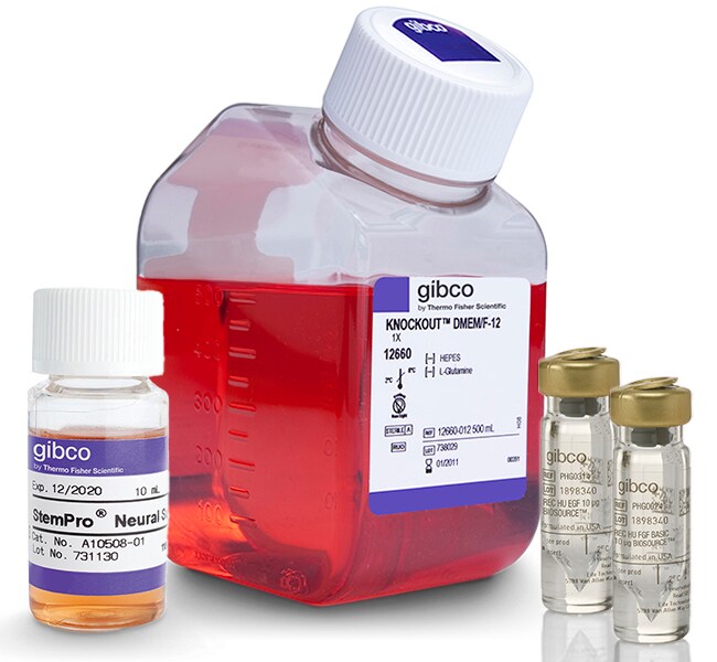 Gibco™ StemPro™ NSC SFM Kit