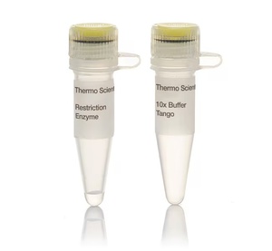 Thermo Scientific™ MspI (HpaII) Restriction Enzyme (10 U/µL)