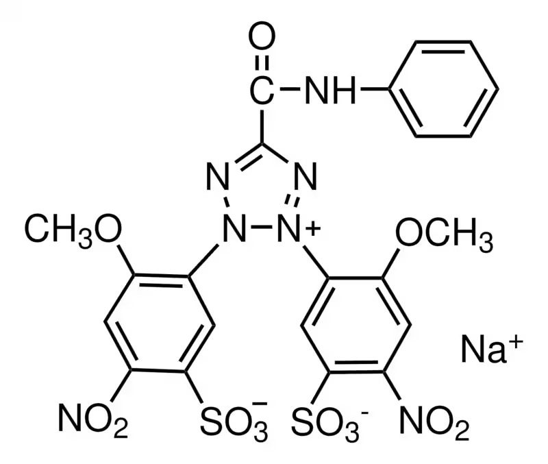 MCE XTT Sodium Salt ≥99.85%