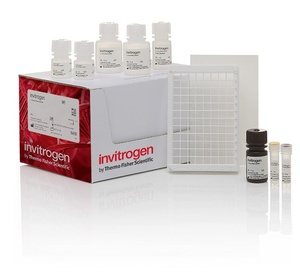 Invitrogen™ Creatinine Urinary Detection Kit, 2 x 96 Tests