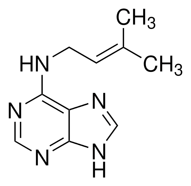 Apollo Scientific™ 6-(γ,γ-Dimethylallylamino)purine (2iP)