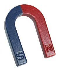 Horse Shoe Magnet