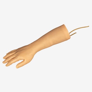 I.V Training Hand Model Gd/Hs5M