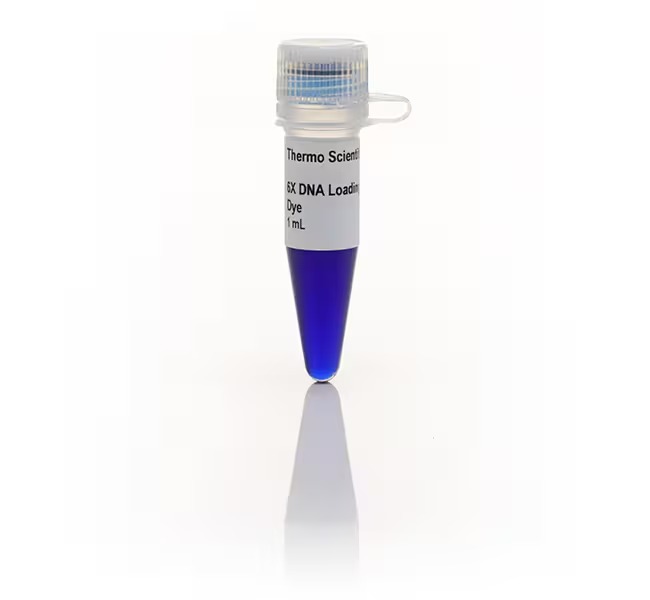Thermo Scientific™ DNA Gel Loading Dye (6X), 5 X 1.0 mL