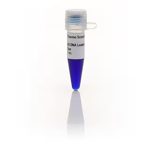 [R0611] Thermo Scientific™ Dna Gel Loading Dye (6X), 5 X 1.0 Ml