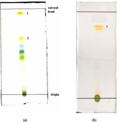 Tlc Plate 50X100Mm, 25/Pkt