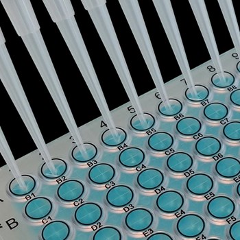 X-Pierce™ Sealing Film, Sterile, 79.4 Mm × 145.5 Mm, 50 Sheets Per Pack