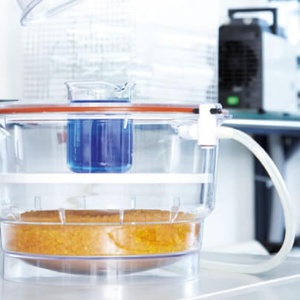 Desiccation and Evaporation