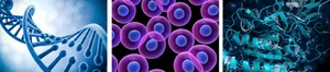 Life Sciences