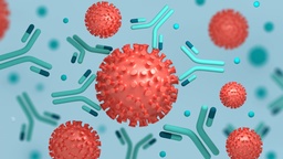 View All Products / Life Sciences / Antibodies