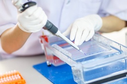 View All Products / Life Sciences / Electrophoresis, Western Blotting and ELISA