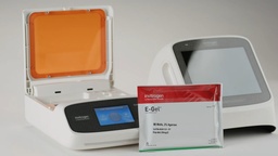 View All Products / Life Sciences / Electrophoresis, Western Blotting and ELISA / Gel Electrophoresis equipment, reagents & buffers