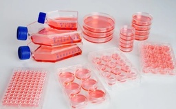 View All Products / Life Sciences / Cell & Tissue Culture