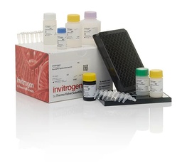 View All Products / Life Sciences / Molecular Biology, Reagents and Kits / Singleplex and Multiplex Bead Based Immunoassays