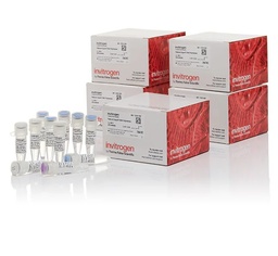 View All Products / Life Sciences / Molecular Biology, Reagents and Kits / PCR Equipment and Supplies / Standard PCR Reagents and Kits