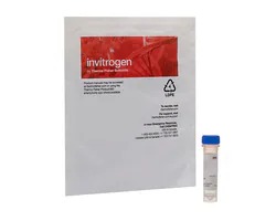 Transfection & Cloning
