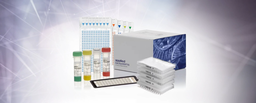 View All Products / Life Sciences / Molecular Biology, Reagents and Kits / PCR Equipment and Supplies / Real Time PCR Assays and Arrays