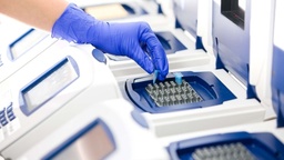 View All Products / Life Sciences / Molecular Biology, Reagents and Kits / PCR Equipment and Supplies / Standard PCR Reagents and Kits / PCR Master Mixes
