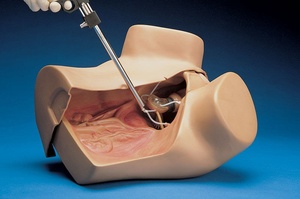 Gaumard ZOE® Gynecological Palpation Skills Trainer