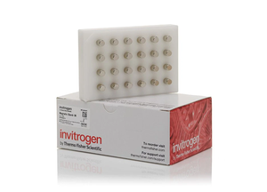 Invitrogen™ Magnetic Stand-96