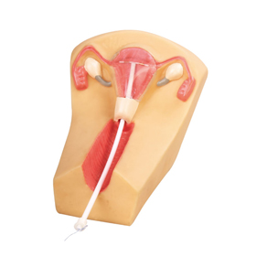IUD Training Simulator