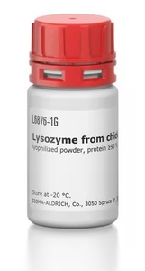 Sigma-Aldrich Lysozyme from chicken egg white, ≥39,000 units/mg protein