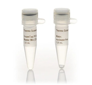 Thermo Scientific™ PCR Master Mix (2X)