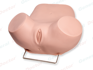 Gynecological Pelvis Examination Simulator
