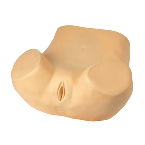 Gynecological Pelvis Examination Simulator