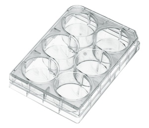 Biologix Multi Well Cell Culture plate, Sterile, TC Treated, Flat bottom with Lid