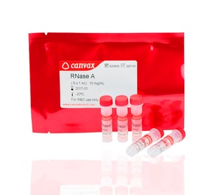 Canvax RNase A, DNase & Protease-free (10 mg/mL)