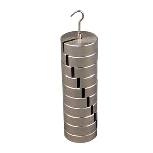 Set of  10 Slotted Masses with Hanger