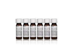 Cytiva illustra™, RNAspin mini isolation kit