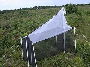 Malaise trap, Complete