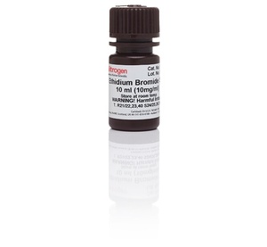 Thermo Scientific™ Invitrogen™ UltraPure™ Ethidium Bromide, 10 mg/mL, 10mL