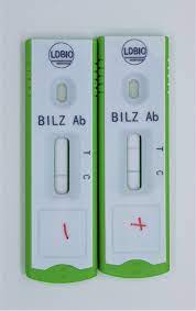 Schisto POC-CCA® Bilharzia (Schistosomiasis) Rapid Test kit