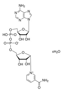 Thermo Scientific™ β-Nicotinamide adenine dinucleotide, oxidised form (NAD) 97%