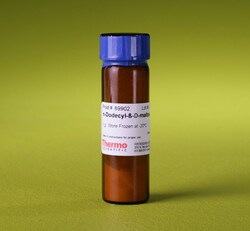 Thermo Scientific™ MgCl2 (magnesium chloride) (25 mM), 5mL