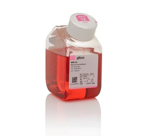 Gibco™ MEM, HEPES, no glutamine