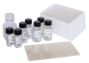 R&D Substrate Reagent Pack