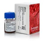 Applied Biosystems™ Dynabeads™ anti-E. coli O157