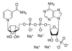 Thermo Scientific™ ß-Nicotinamide adenine dinucleotide phosphate tetrasodium salt hydrate (NADPH-Na4 hydrate, reduced form) 96%, Extra Pure