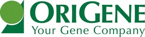 Interferon gamma (IFNG) Human qPCR Primer Pair (NM_000619)