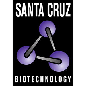Santa Cruz Ac-Histone H3 Antibody (AH3-120), 100 µg/ml