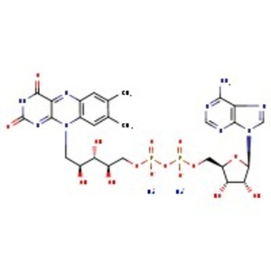 Thermo Scientific™ Flavin adenine dinucleotide disodium salt hydrate, (max. 10% H₂O) 94% (dry weight)