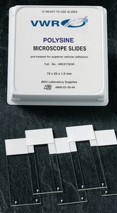 VWR® Polysine®, Adhesion Slides