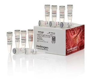 Thermo Scientific™ Invitrogen™ SuperScript™ III First-Strand Synthesis System