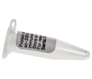Santa Cruz Protein A/G PLUS-Agarose