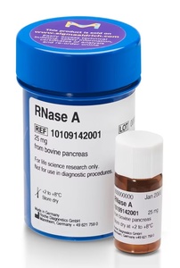 Roche RNase A from bovine pancreas, lyophilizate, powder